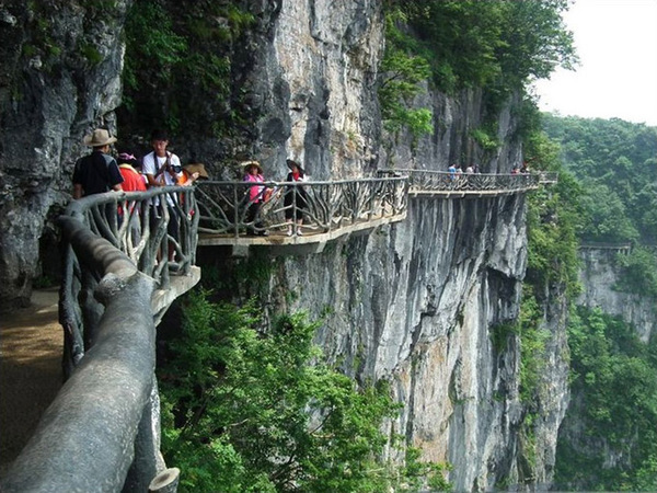 张家界开心旅游,感谢导游|下次来还找你!