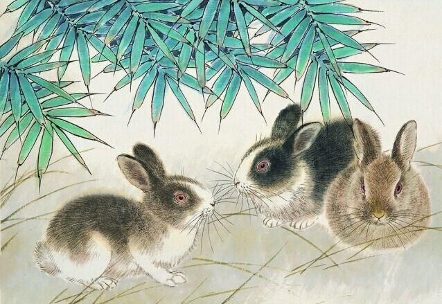 锦衣玉食,一生何求!1963年55岁的苦命兔何时