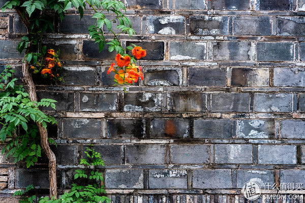 我用可爱又好用的复古小相机富士微单相机 XT