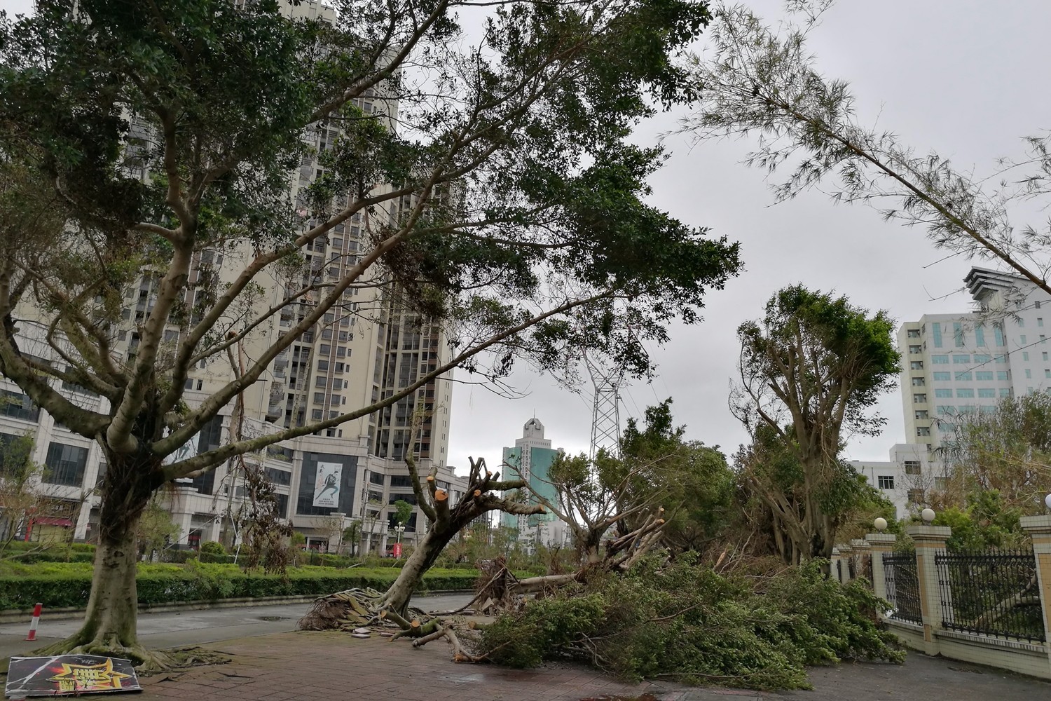 "天鸽"风猛,珠海面临1964年以来最大台风考验! (左右