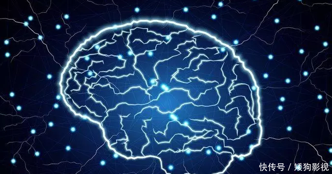 人类大脑为何不敢去进化?科学家:大脑一旦进化