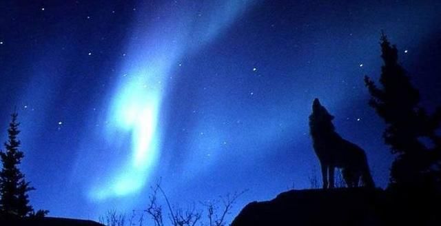 无论企业的入职培训手续有多完善,如敢这样操