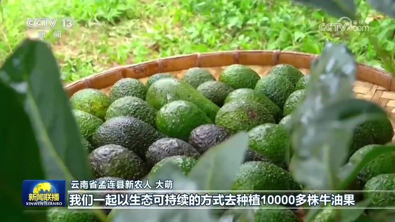 【新思想引领新征程】加快建设农业强国 绘就乡村振兴新画卷