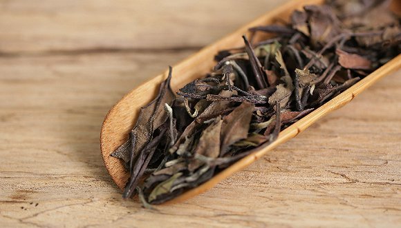 2005寿眉老白茶的故事:一场迟到了12年的众筹