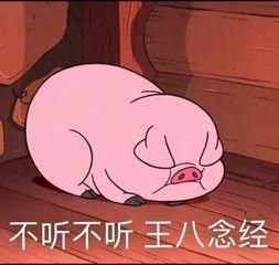 每生产一支口红,就有一只狗失去小丁丁,没有买