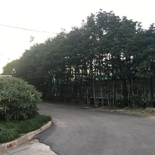 这所高校被称为中国的麻省理工,工科不弱于清