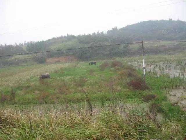 三十年前农村和现在农村的对比,现在的年轻人