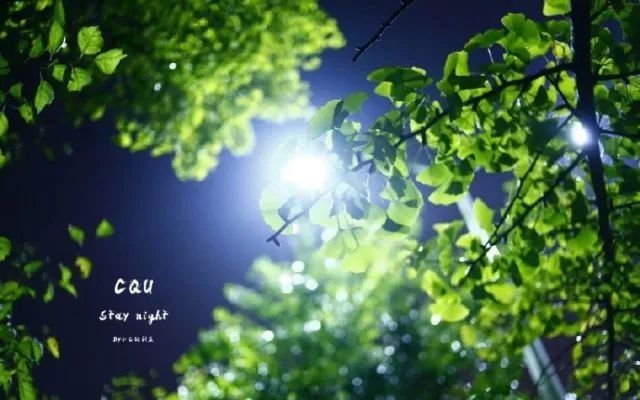 一周校内要闻 | 盘点本周重大新闻