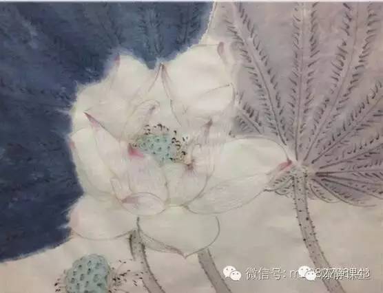 国画赏析 | 工笔荷花绘画步骤详解