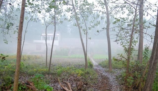 江苏最穷的三个城市,连云港倒数第二,有你家