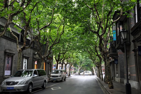 全国最发达的一线城市?,世界城市排名第二梯队