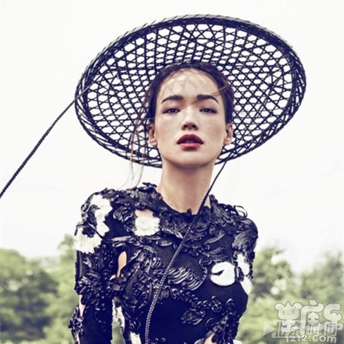 十二星座直男心中的女神
