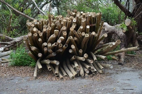 这堆木头里藏了一只狗 网友找翻天 这堆木头里藏了一只狗 网友找翻天