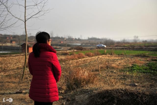 致女诗人幽林石子生日怀想(藏头诗)