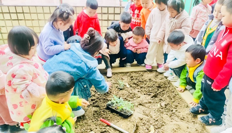 手植绿意 为春天上色