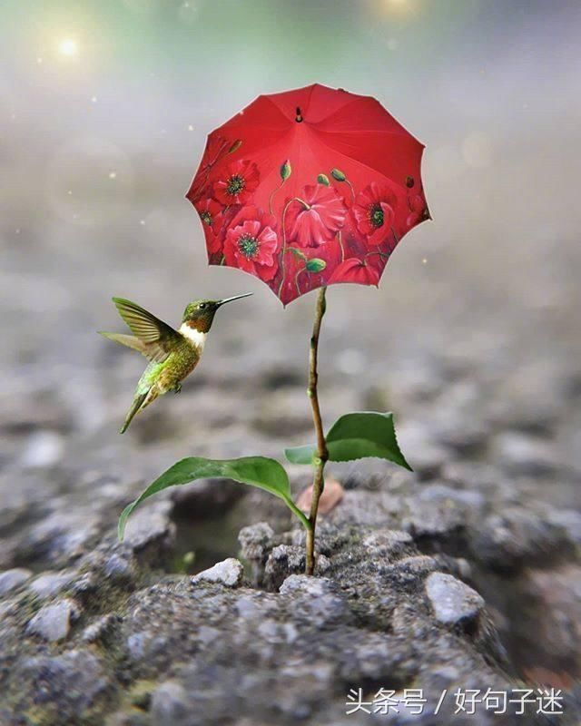 适合早上发的说说短句,句句正能量,拿去发朋友