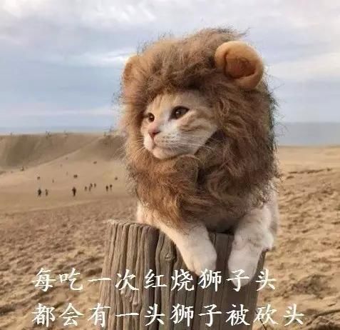 每生产一支口红,就有一只狗失去小丁丁,没有买