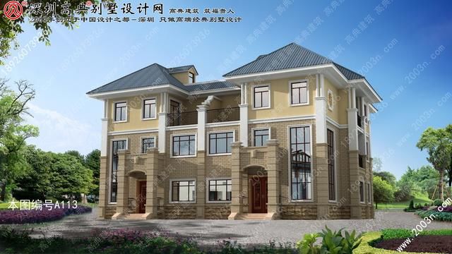 湖南省衡阳县洪市兄弟私人乡村自建别墅设计