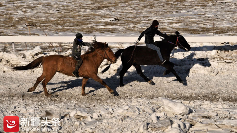 茫茫雪原赛马叼羊 达人领略那拉提马背上的“勇者游戏”