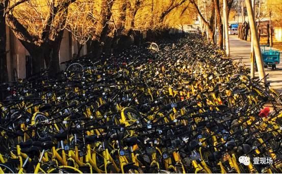 日修600辆小黄车 修车师傅:多为人为恶意破坏 日修600辆小黄车 修车师傅:多为人为恶意破坏