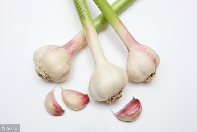 大蒜真的能抑制幽门螺杆菌?大蒜的真正功效你