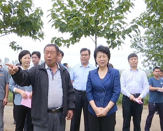 赵素萍到郸城调研产业扶贫
