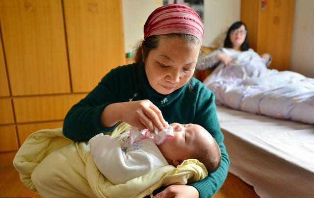 冷门致富项目大全,农村小本创业新点子,农村创