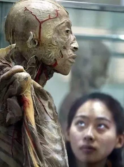 大连尸体加工厂!一位失踪女主播或被制成标本