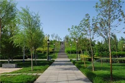 大学最不升值的4个专业,一个比一个辛酸,毕业