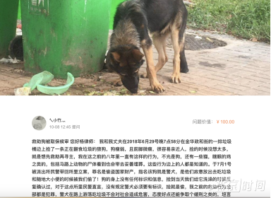 警犬碰瓷儿?夫妻大街上捡回流浪狗被认定涉