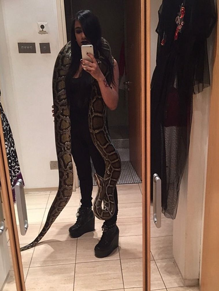 英国一女子收集16条蛇,公寓变蛇窝,与5米巨蟒