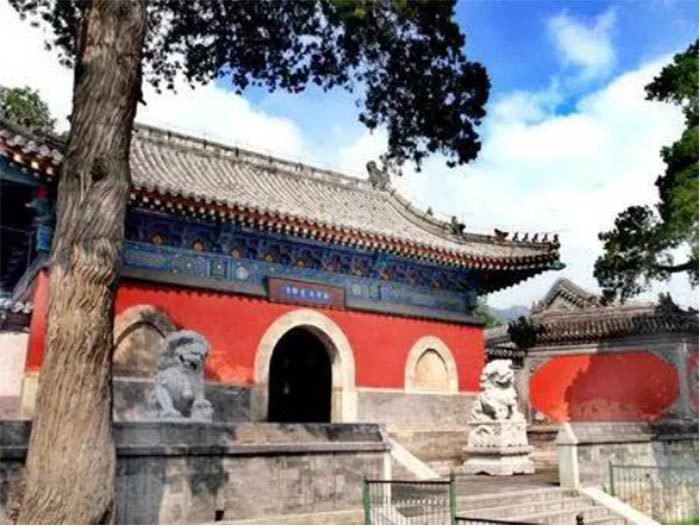 大觉寺：北京“三大寺庙花卉”之玉兰花