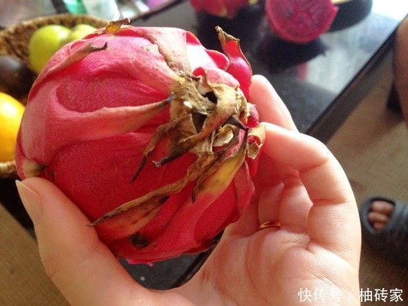 7月要成熟了,这水果人称果中之王,种子也能吃