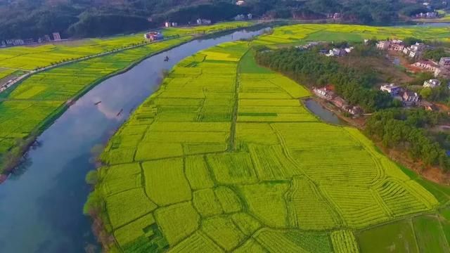 航拍常宁千亩油菜花,美醉了!