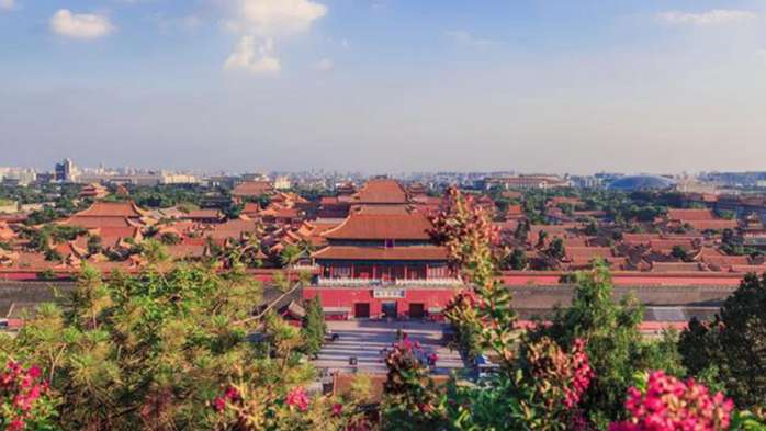 为什么故宫里会有这么多乌鸦?