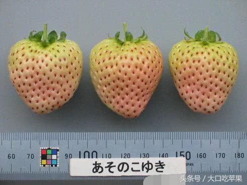 陈冠希晒日本白草莓,一盒草莓只有九颗,价格高