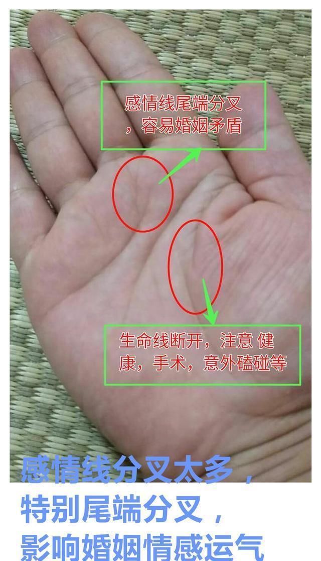 手相图解:有此纹者,必是有福,富贵人,婚姻幸福难