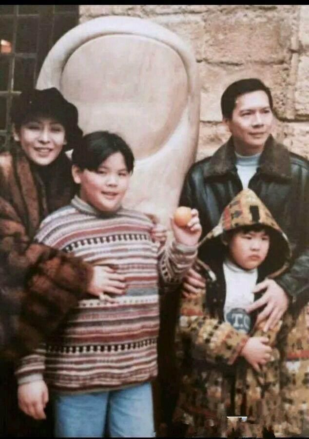 70岁向华强全家福,妻子陈岚年轻不输关之琳,两