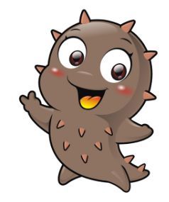 海参一年四季都可吃?拒绝吃亏!半岛优选即食