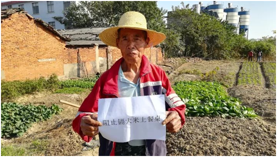 江西九江镉大米事件 ,追责解决不了根本问题