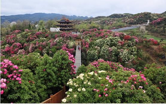 贵州人口最多的城市,却在五线城市开外,GDP不