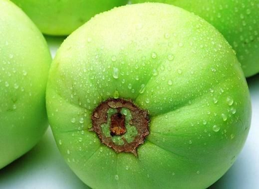 家庭香瓜酿酒技术,香瓜酒的做法