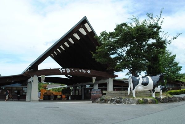 五月最适合去日本哪里治愈?日媒推荐十大日本