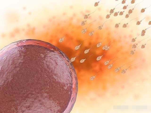 女人最迟多少岁还能生孩子?如果超过了这个年