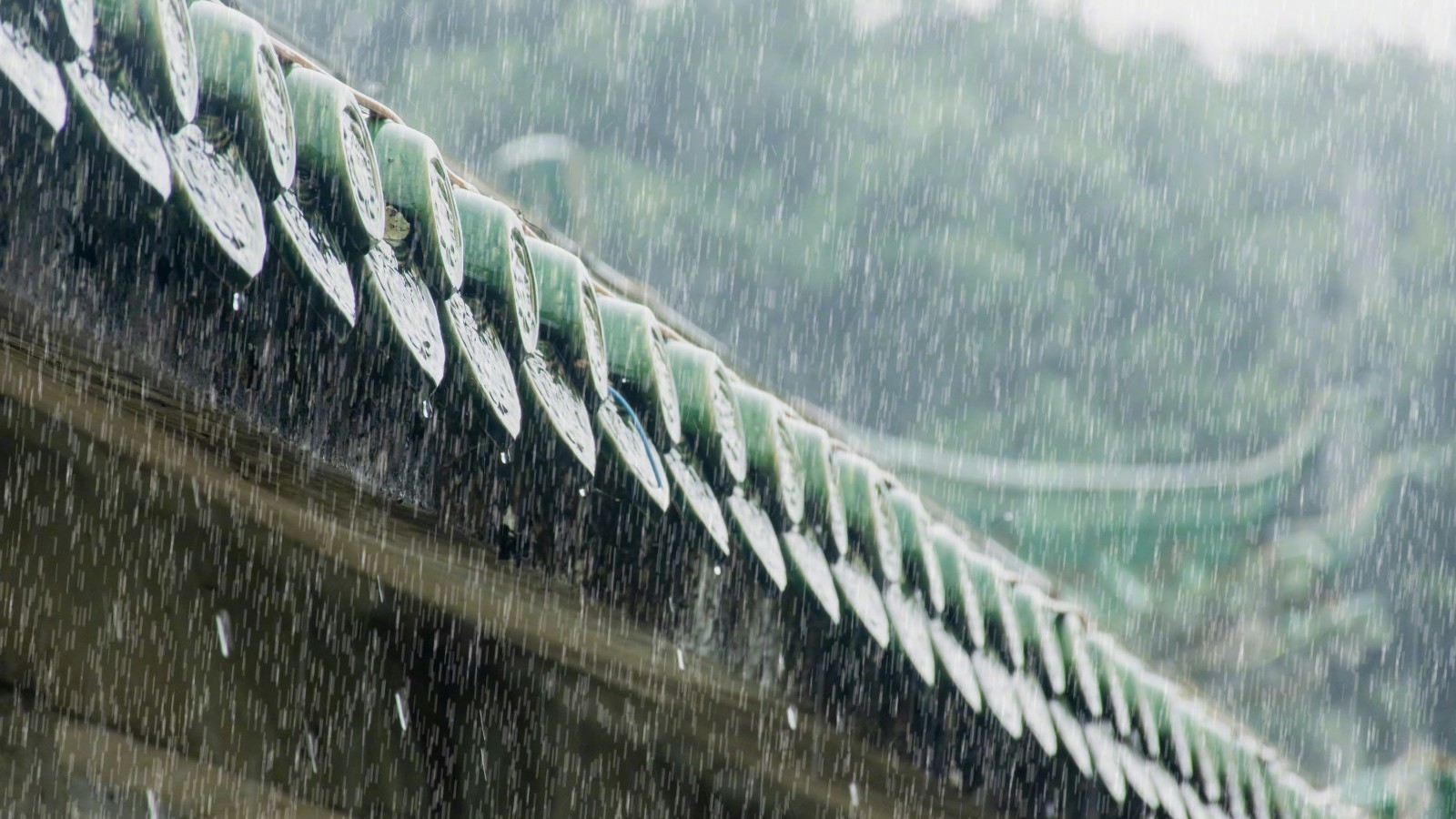 雨水不停 记得带伞！ 最高气温26℃ 体感较凉