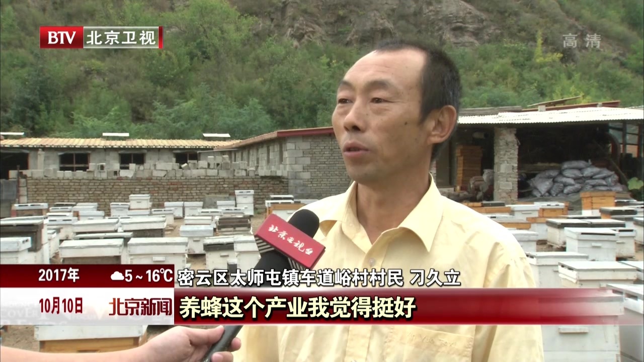 放羊人变养蜂人 用行动呵护一盆净水 放羊人变养蜂人 用行动呵护一盆净水