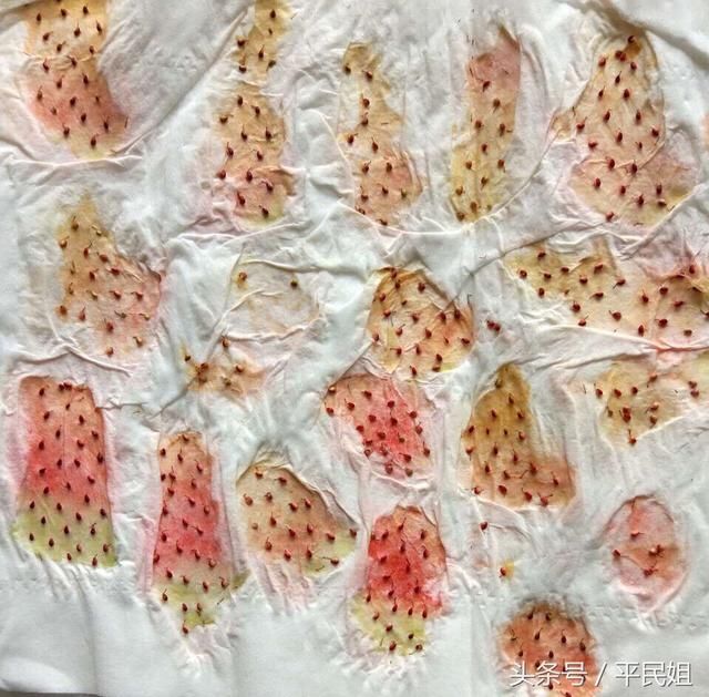 平台姐阳台种草莓 买草莓种子不如自己扣籽 先