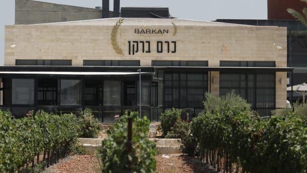 英国工党领袖:将承认巴勒斯坦的国家主权 积极