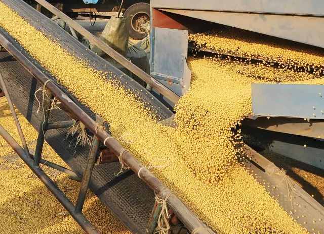 中国涉500亿美元重拳反击!美国网民诉苦,特朗