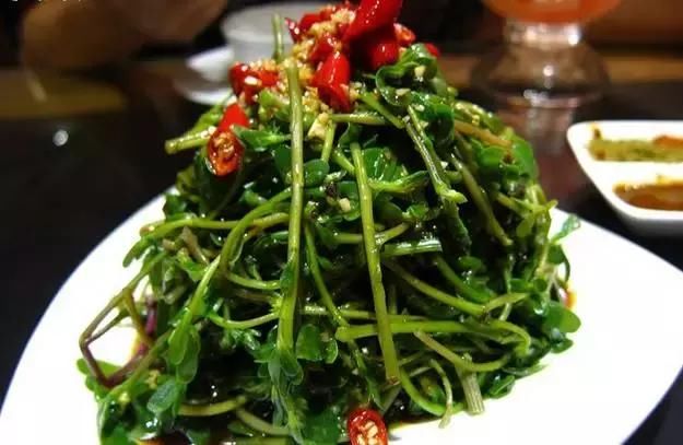 别名:长命菜,长寿菜,五行草,马蜂菜,马马菜.